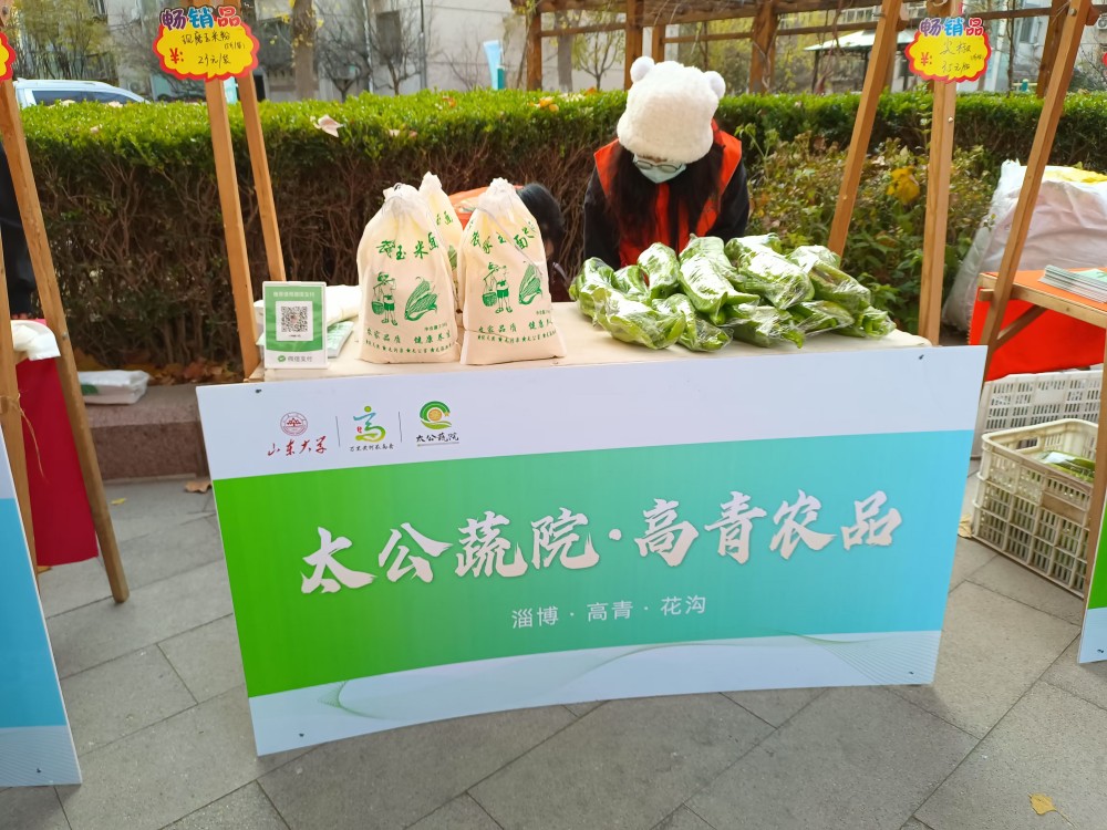suncitygroup太阳集团网址