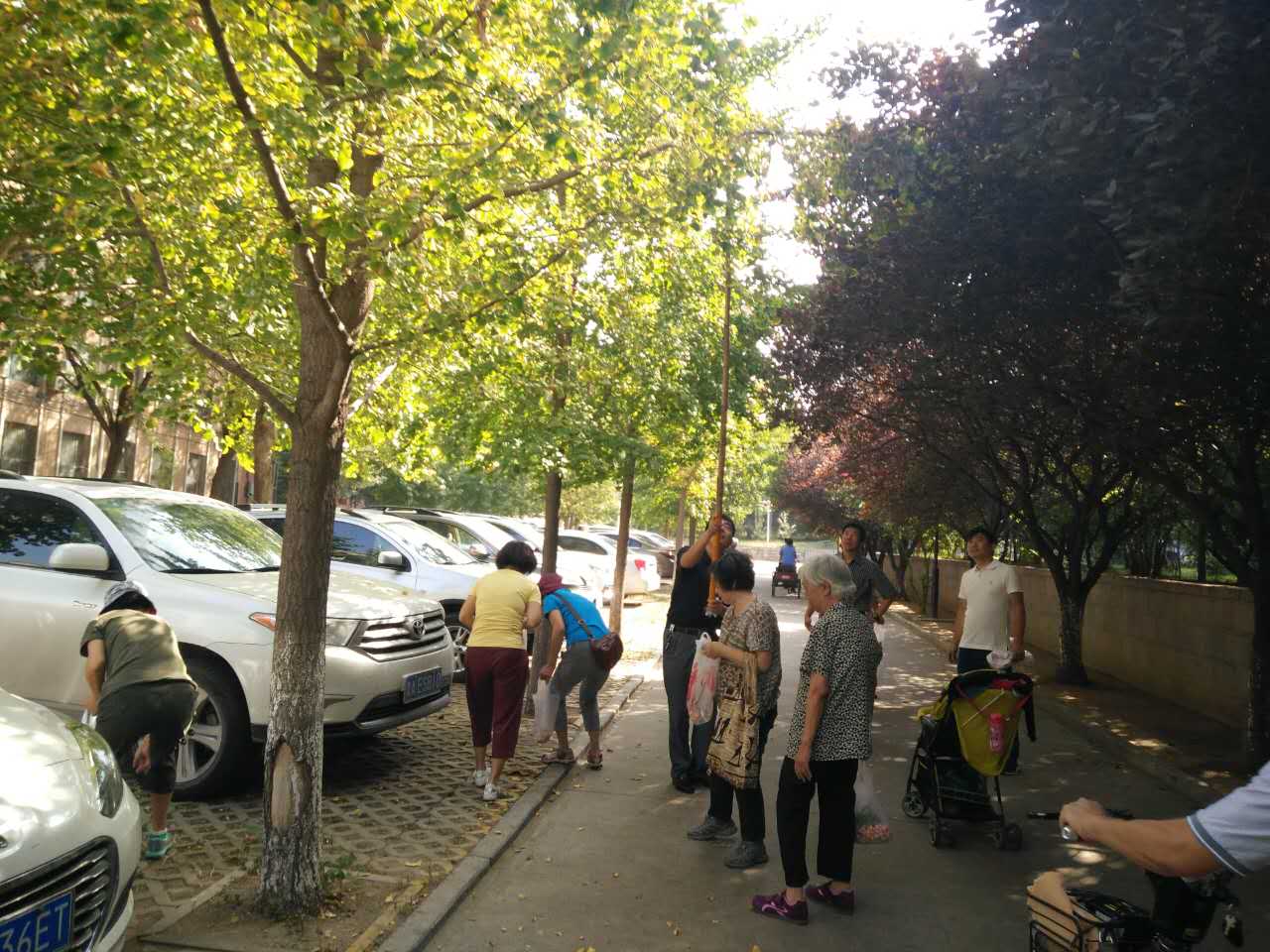 suncitygroup太阳集团网址