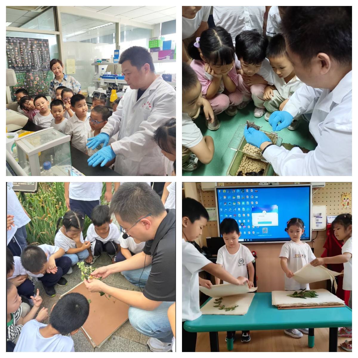 suncitygroup太阳集团网址