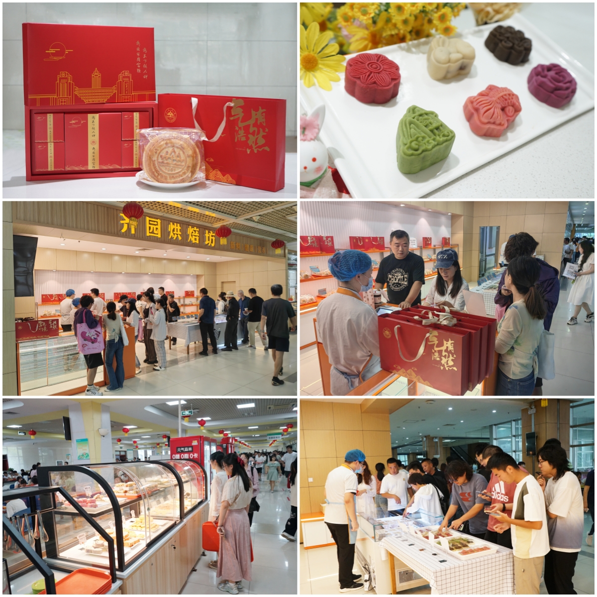 suncitygroup太阳集团网址