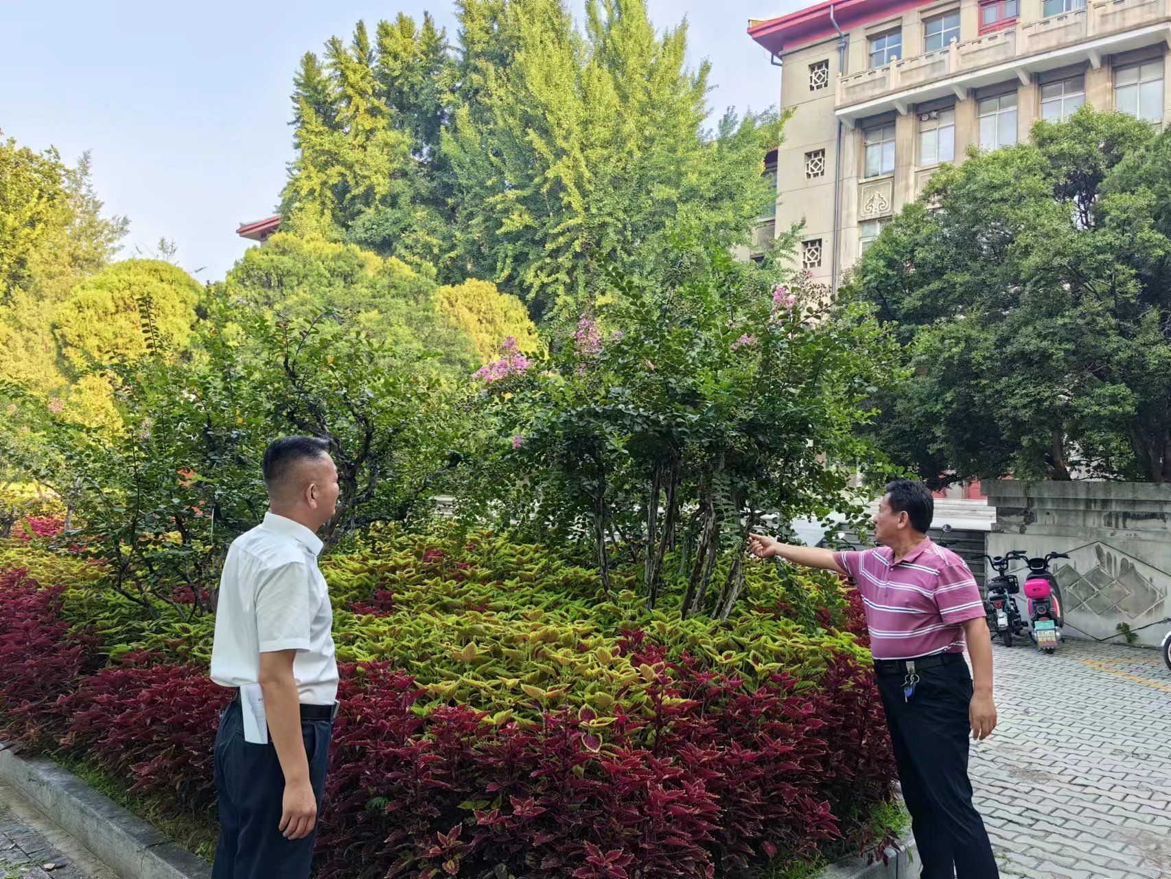 suncitygroup太阳集团网址