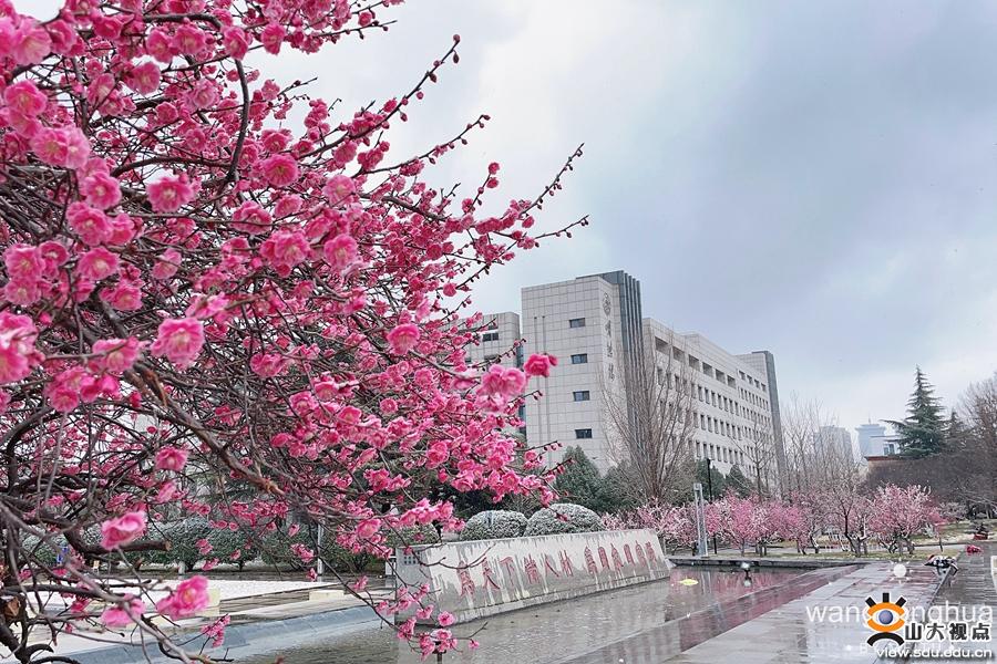 suncitygroup太阳集团网址