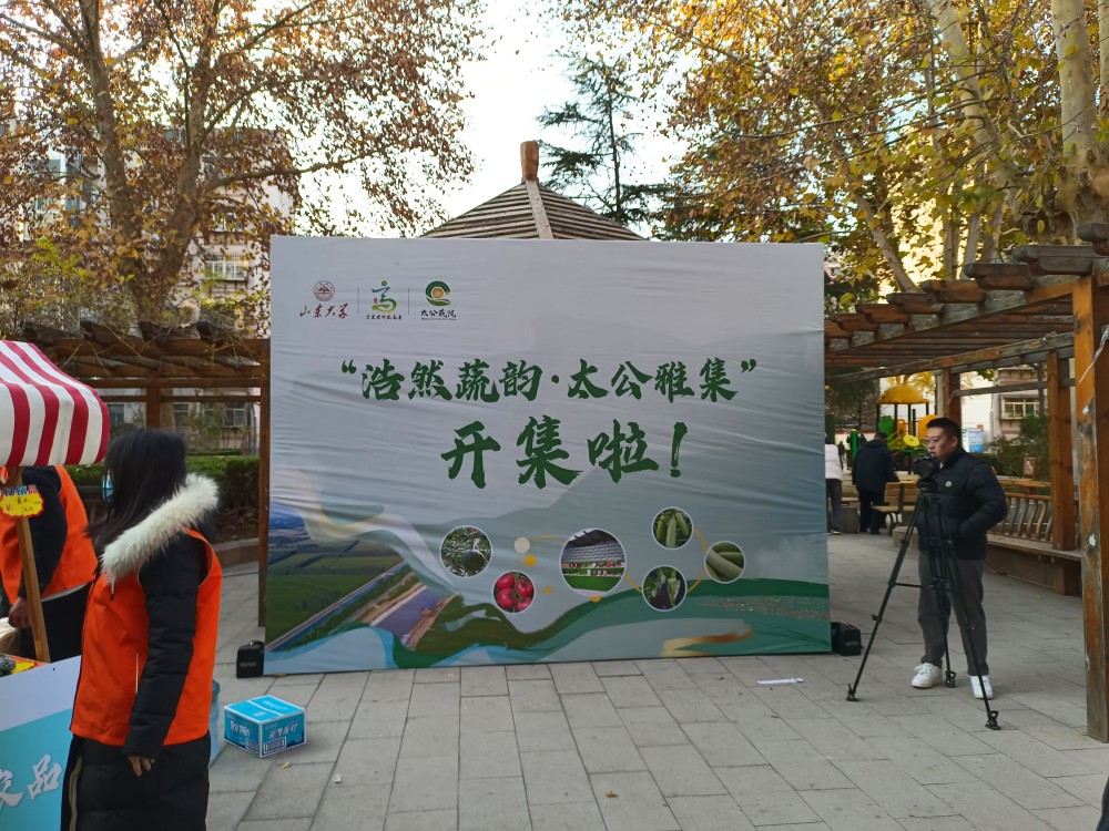 suncitygroup太阳集团网址