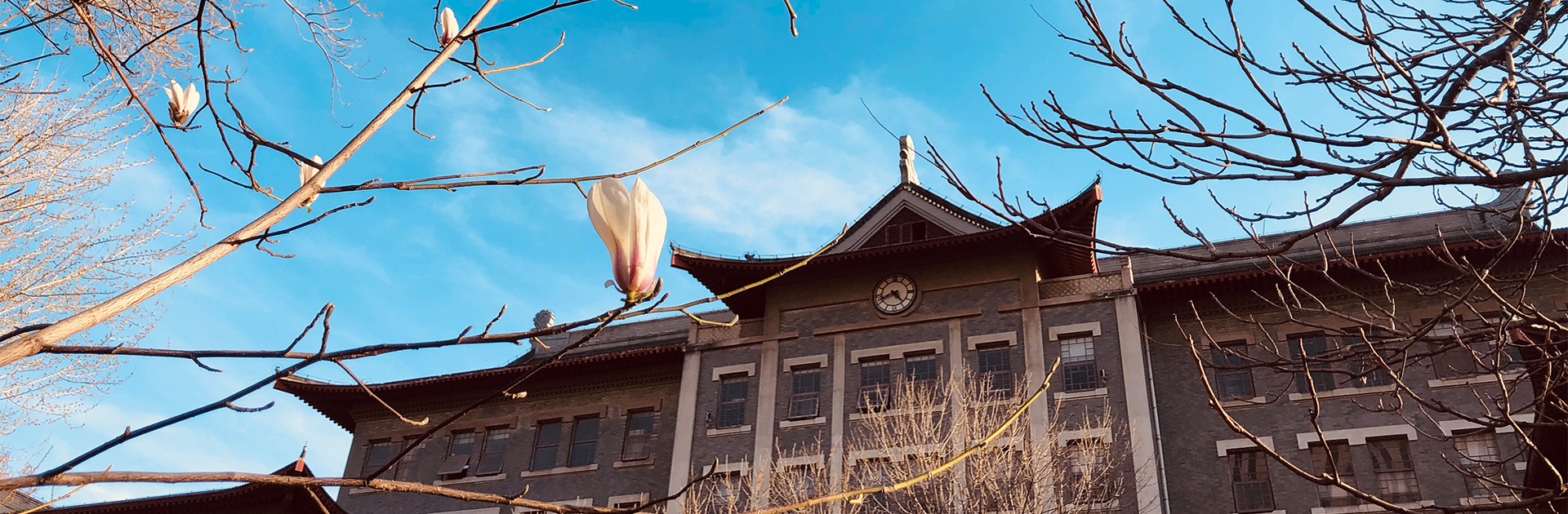 SJB世俱杯官方网站